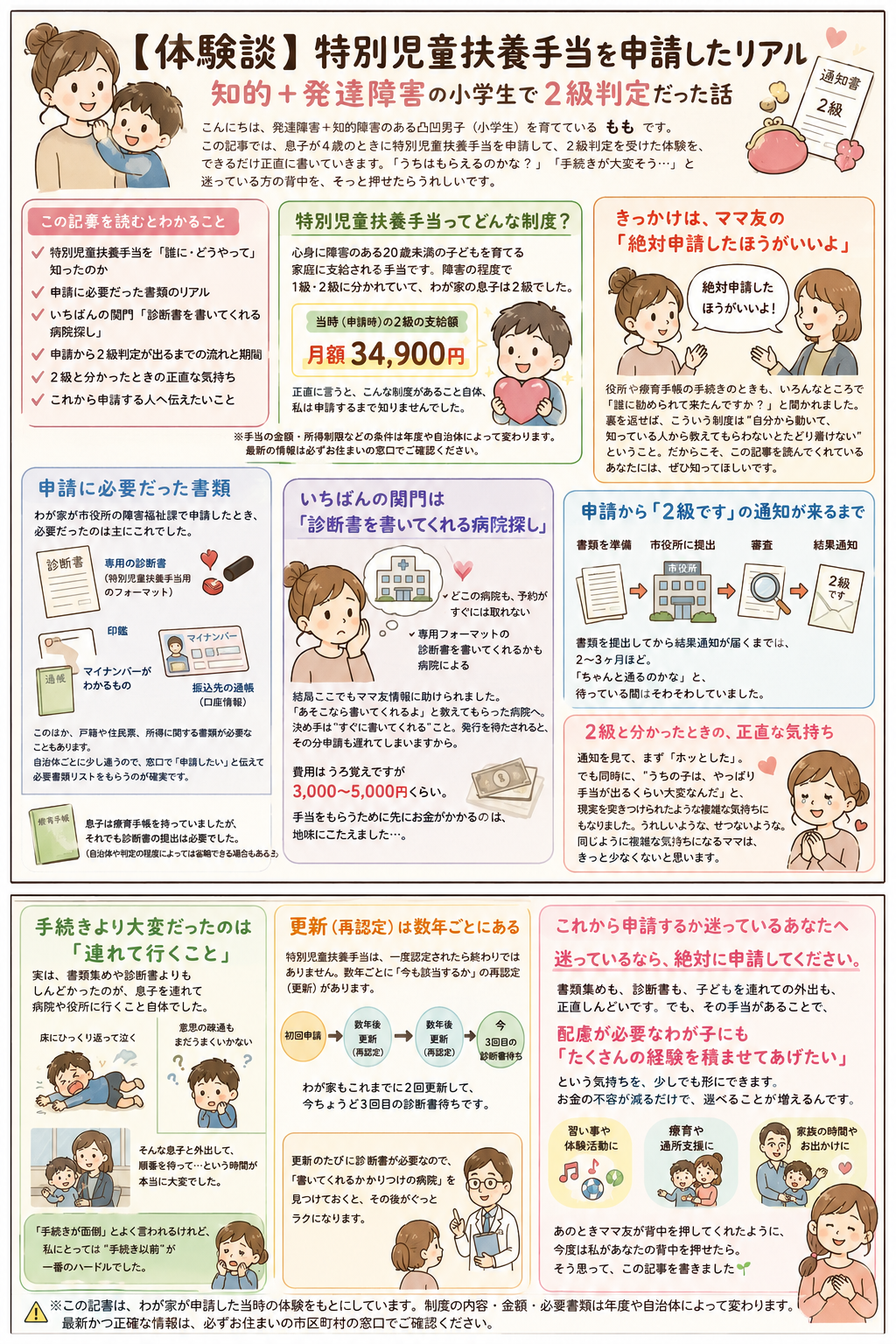 療育手帳の取得手順｜児童相談所での判定の流れをまとめたイラスト